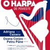Enchanting and Spectacular 19th and 20th Century Music:  Harp, Clarinet and Piano